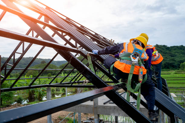 Best Roof Gutter Cleaning  in Alva, FL