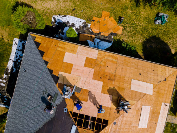 Best Storm Damage Roof Repair  in Alva, FL